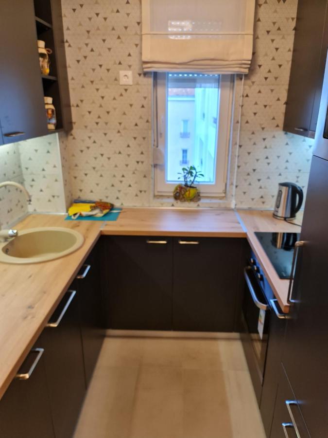 Grand Lux Apartman Чачак Экстерьер фото